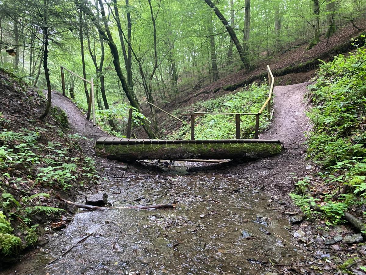 Neu!!! Netflix!!! Schoene Ferienwohnungen Im Gruenen Mit Top Ausstattung - Nur 15 Min Bis Koblenz Eitelborn 外观 照片